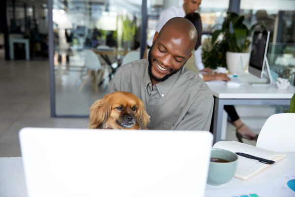 Bring your Dog to Work Policy for Small Business